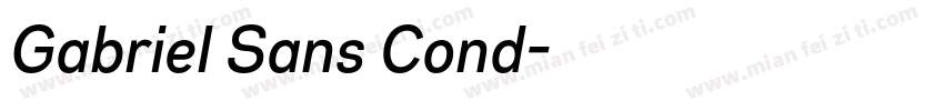 Gabriel Sans Cond字体转换
